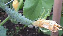 ���イ��280600